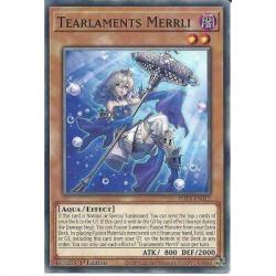 Tearlaments Merrli POTE-EN012 1st Edition Common :YuGiOh Trading Card Game TCG