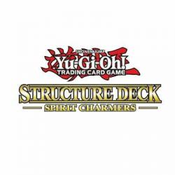 SDCH-EN022 Secret Village of the Spellcasters | 1st Edition | Common Card YuGiOh