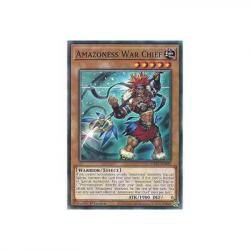 Amazoness War Chief DABL-EN095 : YuGiOh Common Card 1st Edition