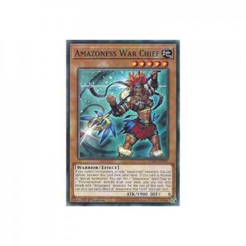 Amazoness War Chief DABL-EN095 : YuGiOh Common Card 1st Edition