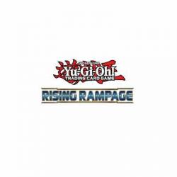 RIRA-EN081 Barricadeborg Blocker | Unlimited | Common Card YuGiOh Rising Rampage