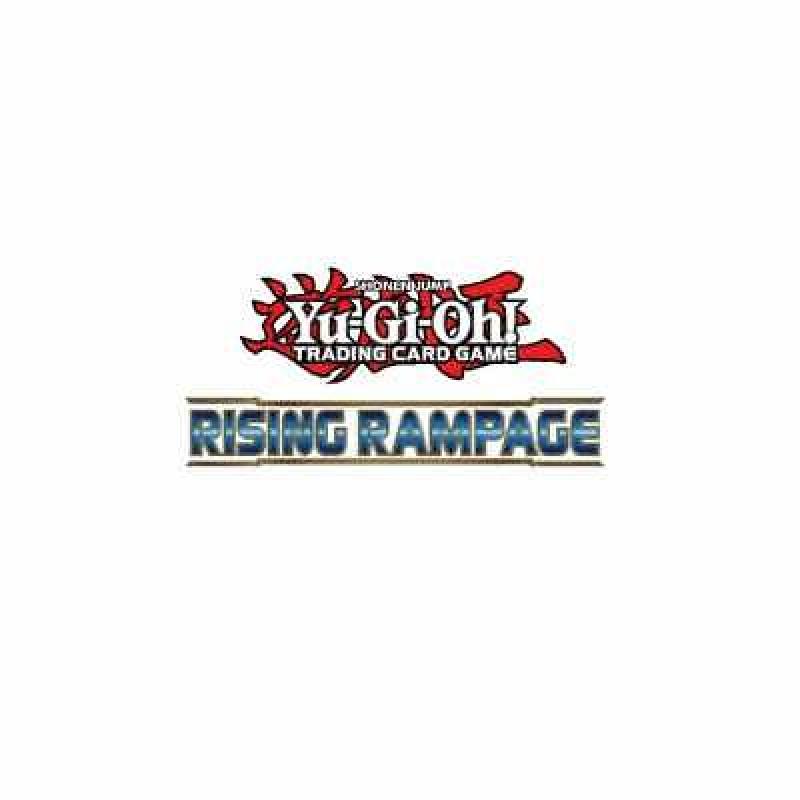 RIRA-EN081 Barricadeborg Blocker | Unlimited | Common Card YuGiOh Rising Rampage