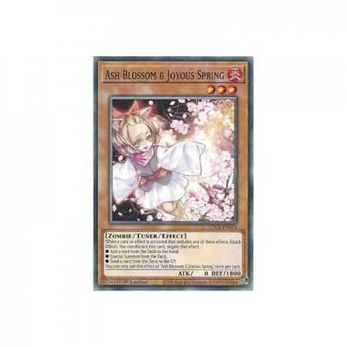 Ash Blossom & Joyous Spring SDCB-EN014 : YuGiOh Common Card 1st Edition