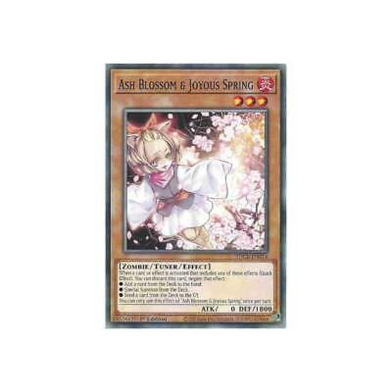 Ash Blossom & Joyous Spring SDCB-EN014 : YuGiOh Common Card 1st Edition