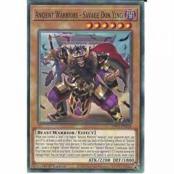 Ancient Warriors - Savage Don Ying DIFO-EN024 1st Edition Common YuGiOh TCG Card