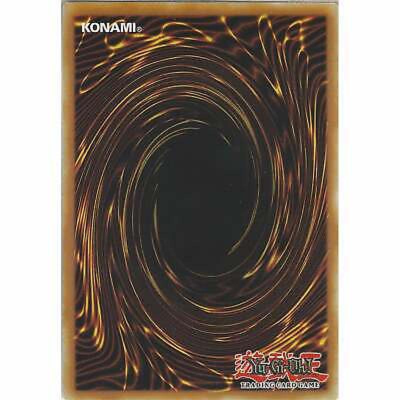 RIRA-EN081 Barricadeborg Blocker | Unlimited | Common Card YuGiOh Rising Rampage